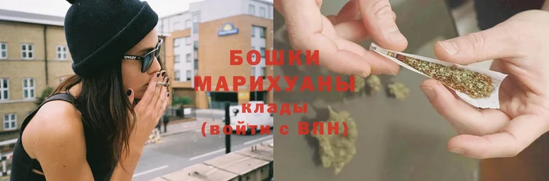 Марихуана план  закладка  Кубинка 